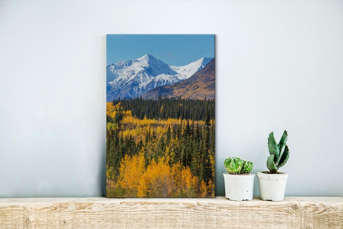 20x30 cm Wald Kluane-Nationalpark (1 St), Yukon, Zackenaufhänger, im in Leinwandbild fertig OneMillionCanvasses® Leinwandbild bespannt inkl. Gemälde,