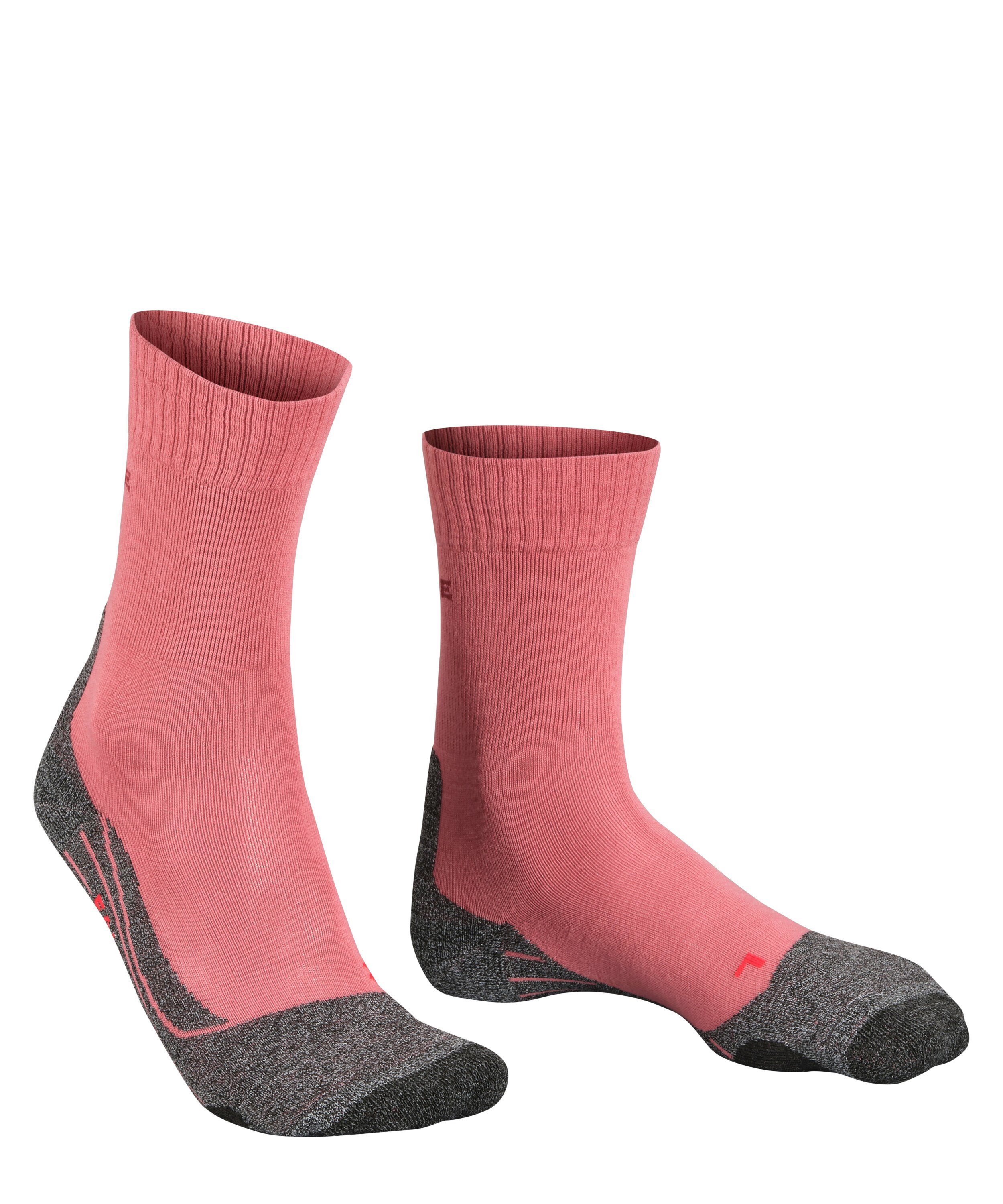 FALKE Wandersocken TK2 Explore (1-Paar) Hoher günstig online kaufen