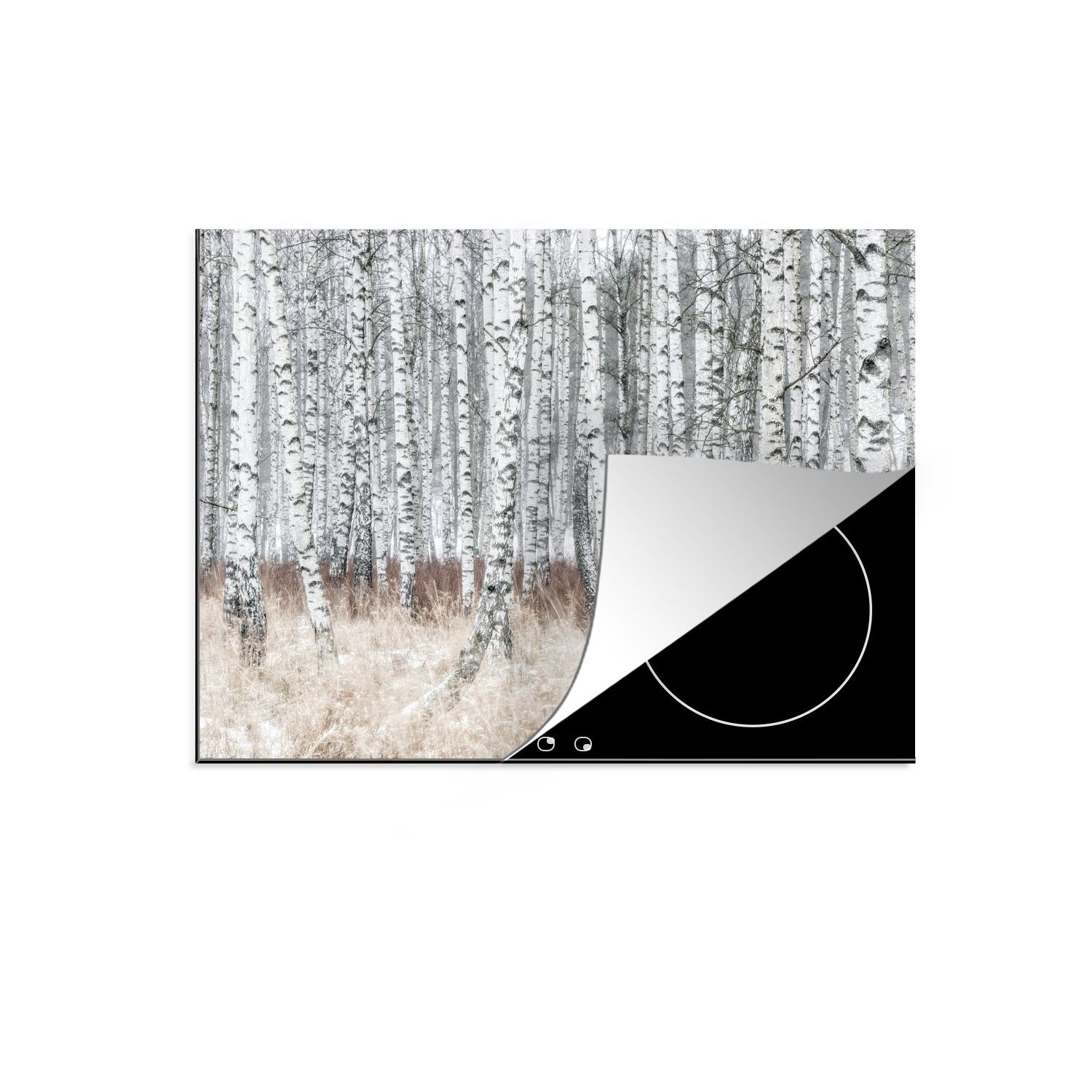 MuchoWow Herdblende-/Abdeckplatte Weiß und schwarz gefärbte Baumstämme in trockener Natur, Vinyl, (1 tlg), 60x52 cm, Mobile Arbeitsfläche nutzbar, Ceranfeldabdeckung
