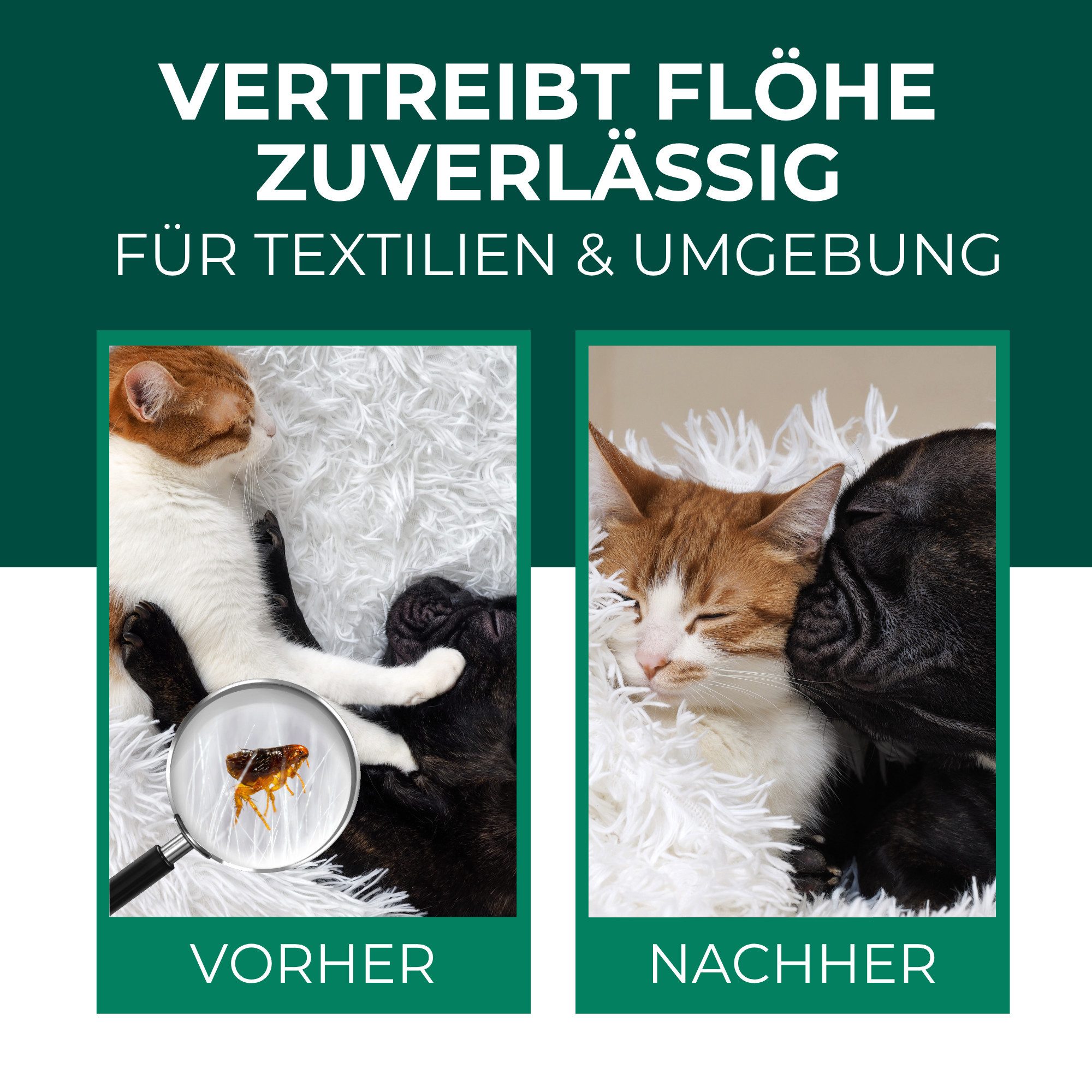 Silberkraft Insektenspray Flohspray Textil & Umgebung 500 ml inkl. E-Book, Als Umgebungsspray: gezielte Anwendung für eine flohfreie Umgebung, 1-St., Inklusive  – Bild 2 von 5