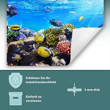 Decorwelt Herd-Abdeckplatte Herdabdeckplatte Kunststoff Aufrollbare Matte Küche Unterwasser Meer, (30x52, 1 tlg), für alle Herdarten excl. Gasherde