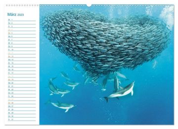 CALVENDO Wandkalender Die blaue Welt der Delfine (Premium, hochwertiger DIN A2 Wandkalender 2023, Kunstdruck in Hochglanz)