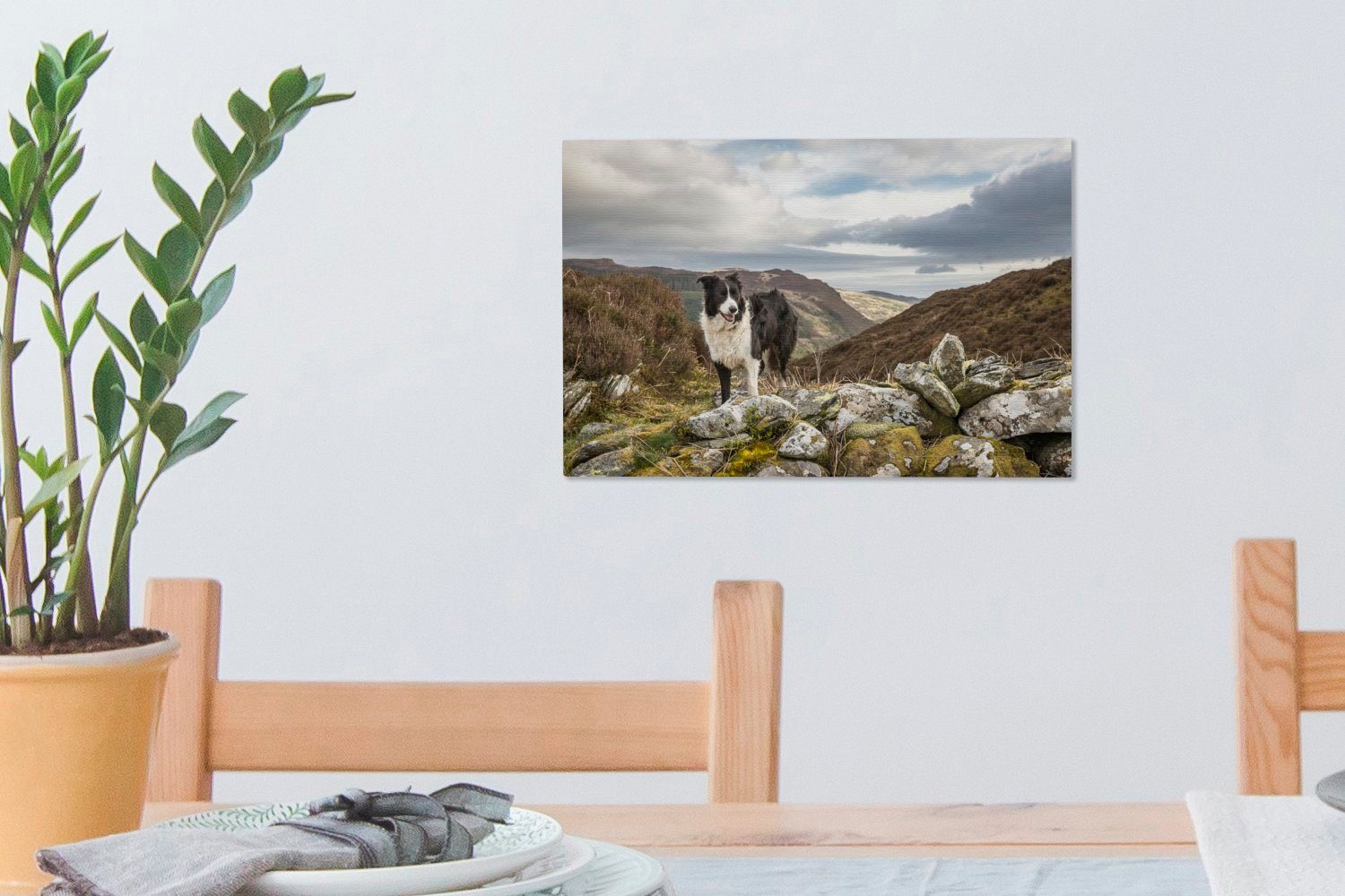 Leinwandbilder, Aufhängefertig, Berges, cm 30x20 des Border Wandbild steht Leinwandbild auf Collie (1 Wanddeko, Gipfel dem Ein St), OneMillionCanvasses®