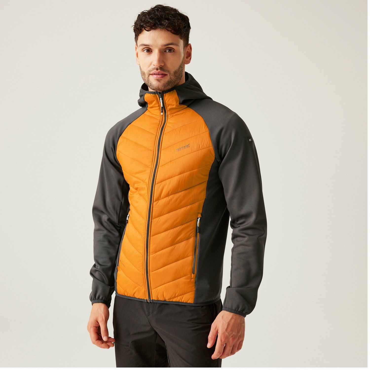Regatta Softshelljacke Hybrid Steppjacke Andreson VIII günstig online kaufen