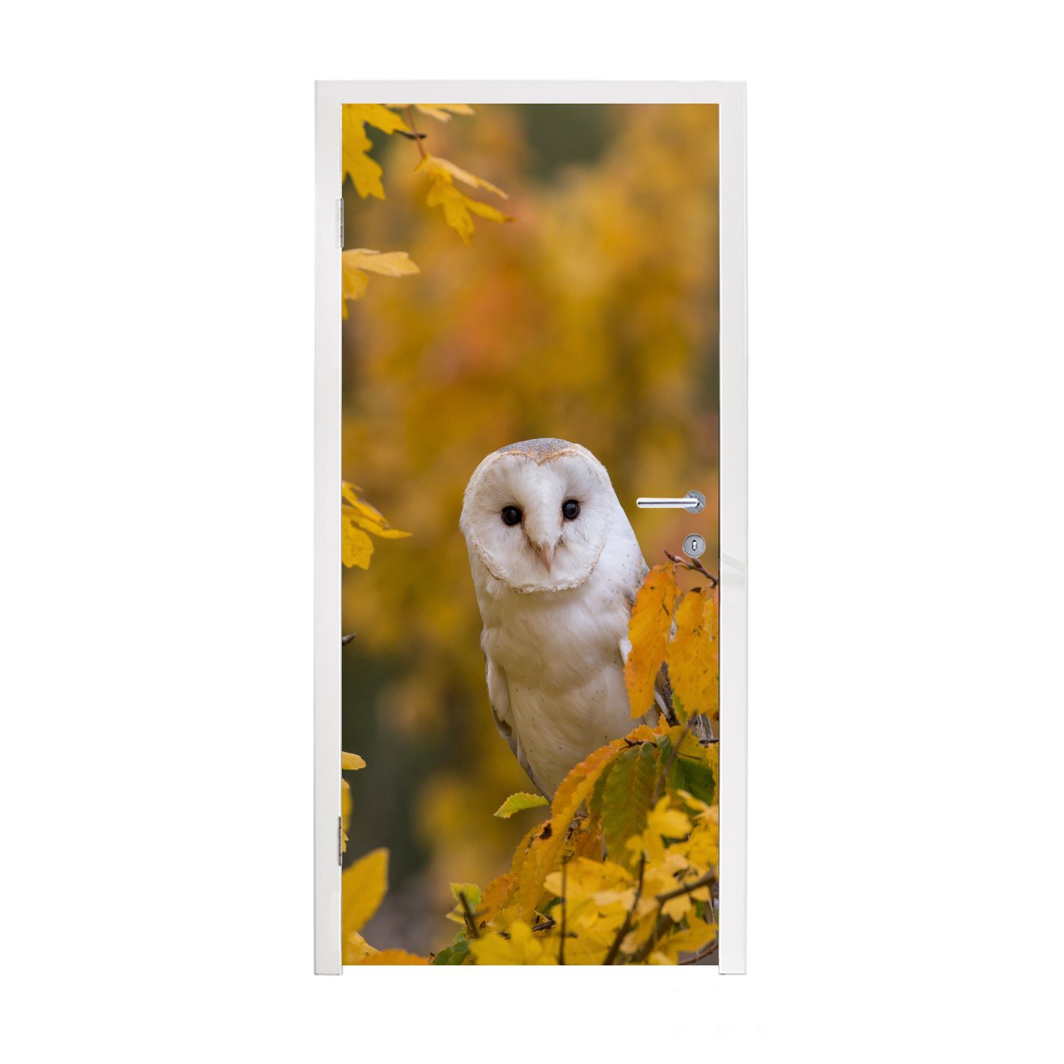 MuchoWow Türtapete Vogel - Eule - Herbst, Matt, bedruckt, (1 St), Fototapete für Tür, Türaufkleber, 75x205 cm