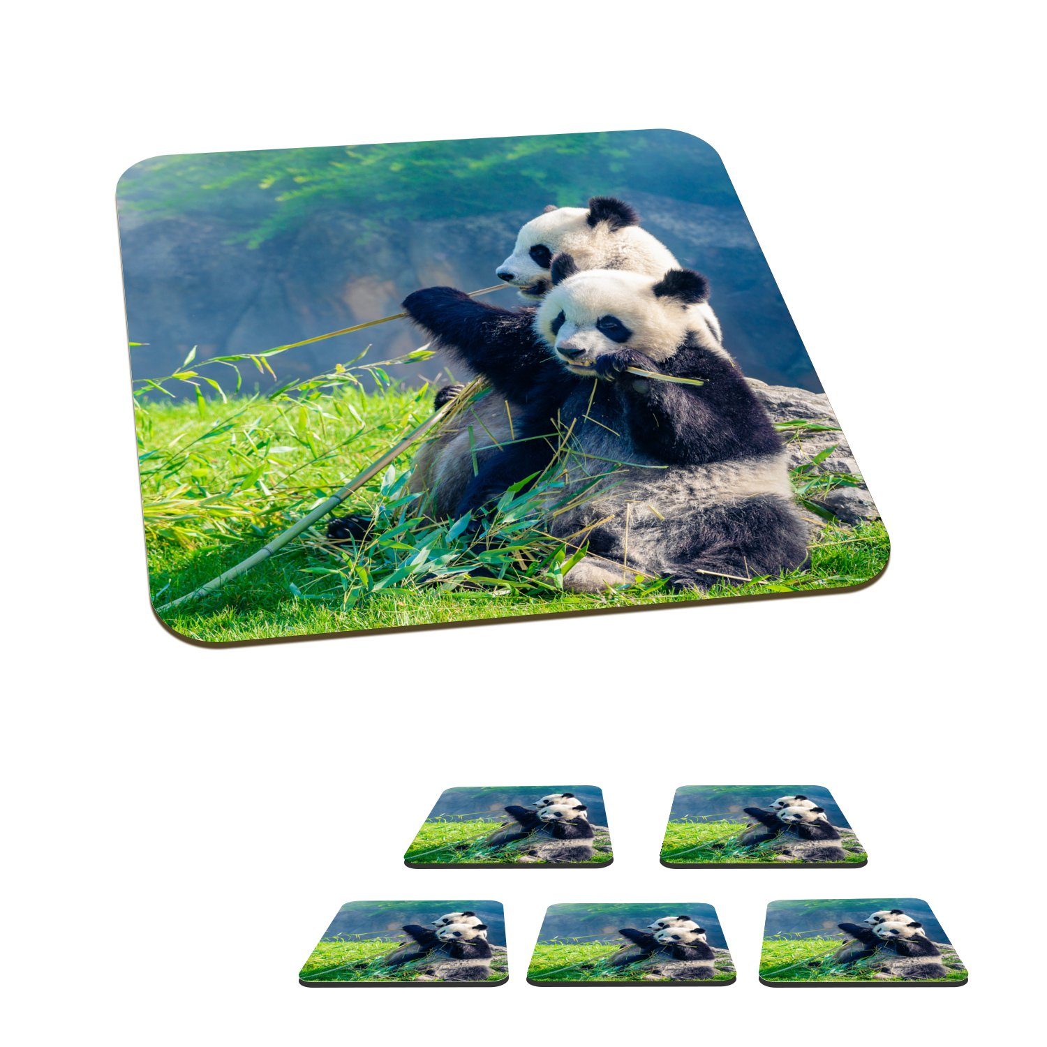MuchoWow Glasuntersetzer Panda - Bambus - Gras - Tiere, Zubehör für Gläser, 6-tlg., Glasuntersetzer, Tischuntersetzer, Korkuntersetzer, Untersetzer, Tasse