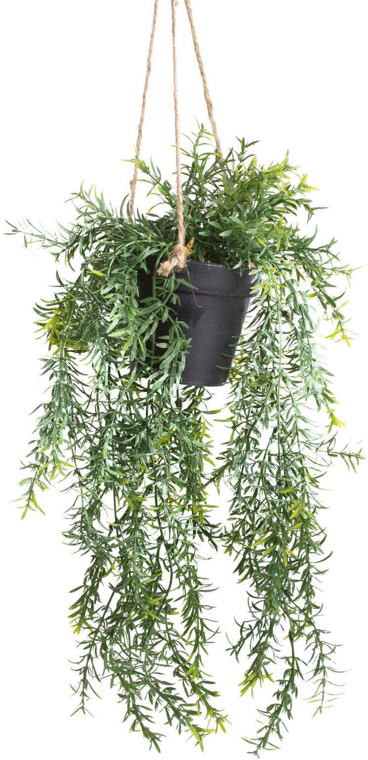 Künstliche Zimmerpflanze »Asparagus-Hängeampel« Asparagus, Botanic-Haus, Höhe 46 cm