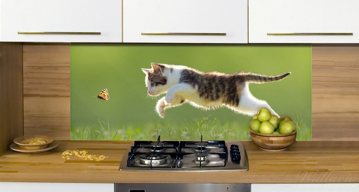 Wallario Küchenrückwand Süße Katze fängt (1-tlg) Schmetterling Grünen, im