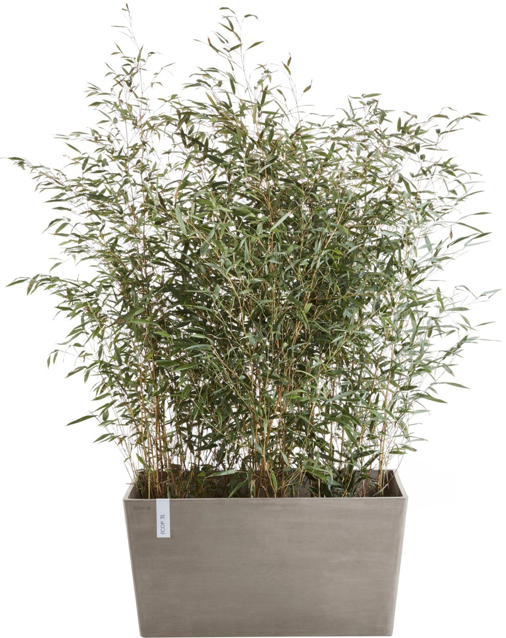 ECOPOTS Blumentopf Paris 60 Taupe, für günstig online kaufen
