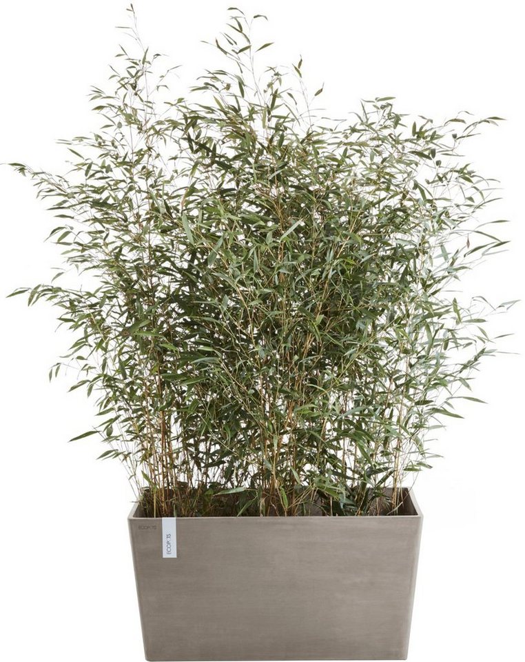 Thumbnail - ECOPOTS Blumentopf Paris 60 Taupe, für den Außenbereich: frostsicher, bruchsicher und lichtbeständig