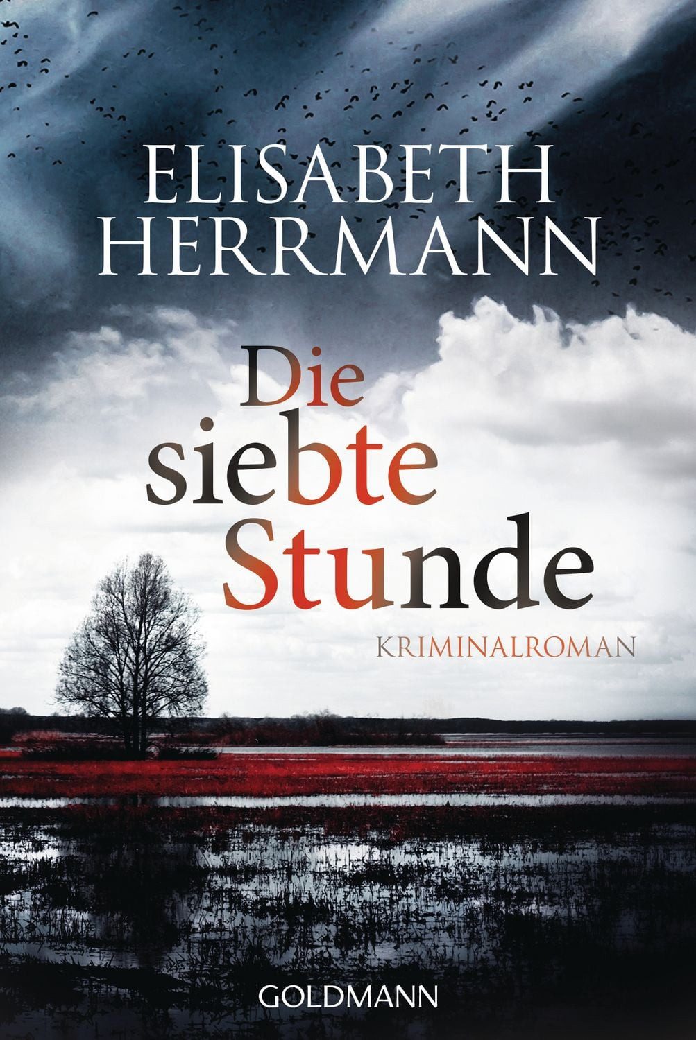 Die siebte Stunde / Joachim Vernau Band 2 / Elisabeth Herrmann