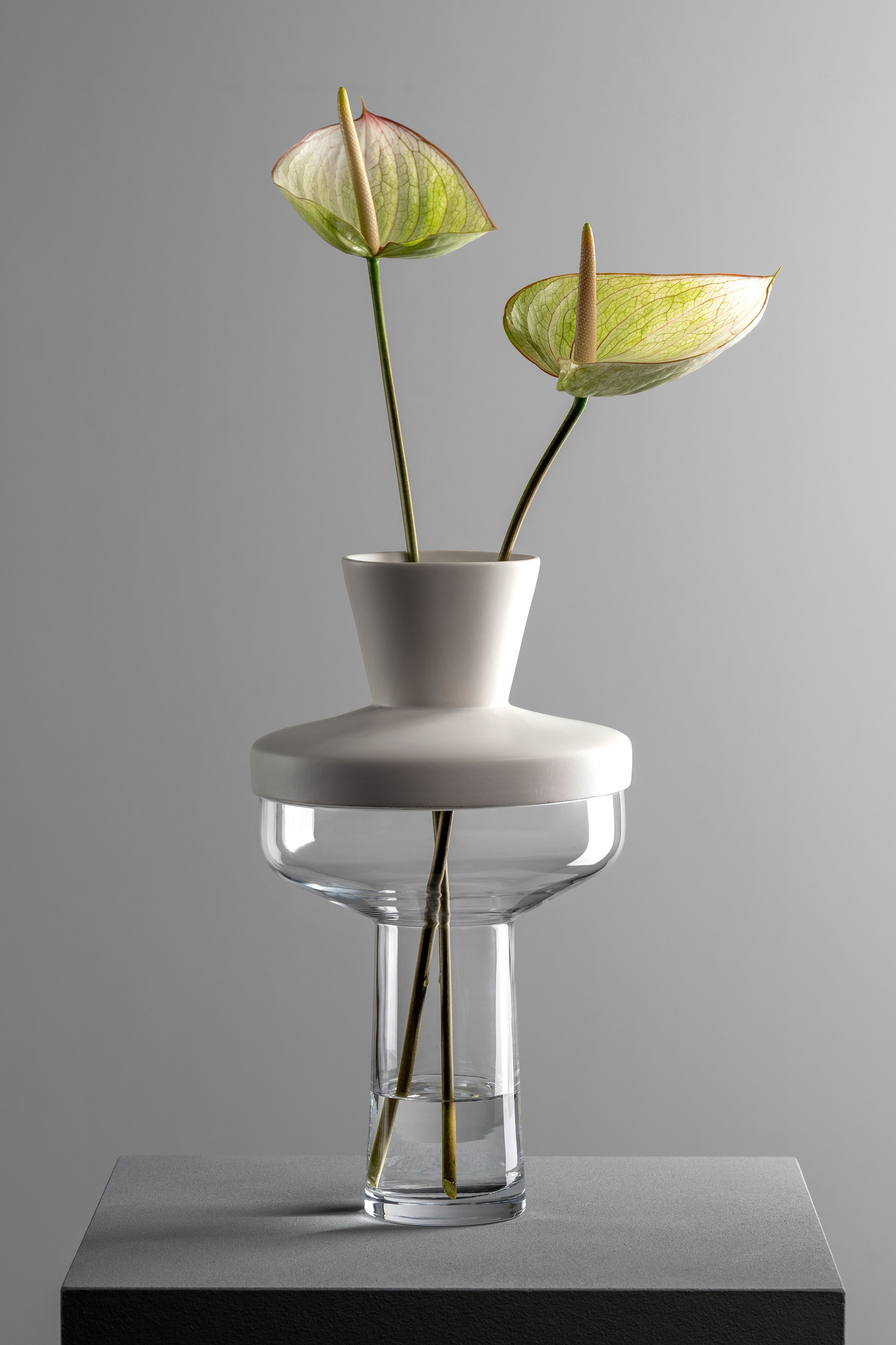 LEONARDO Dekovase GK/Vase + Top RIVA (1 St) – Bild 2 von 5