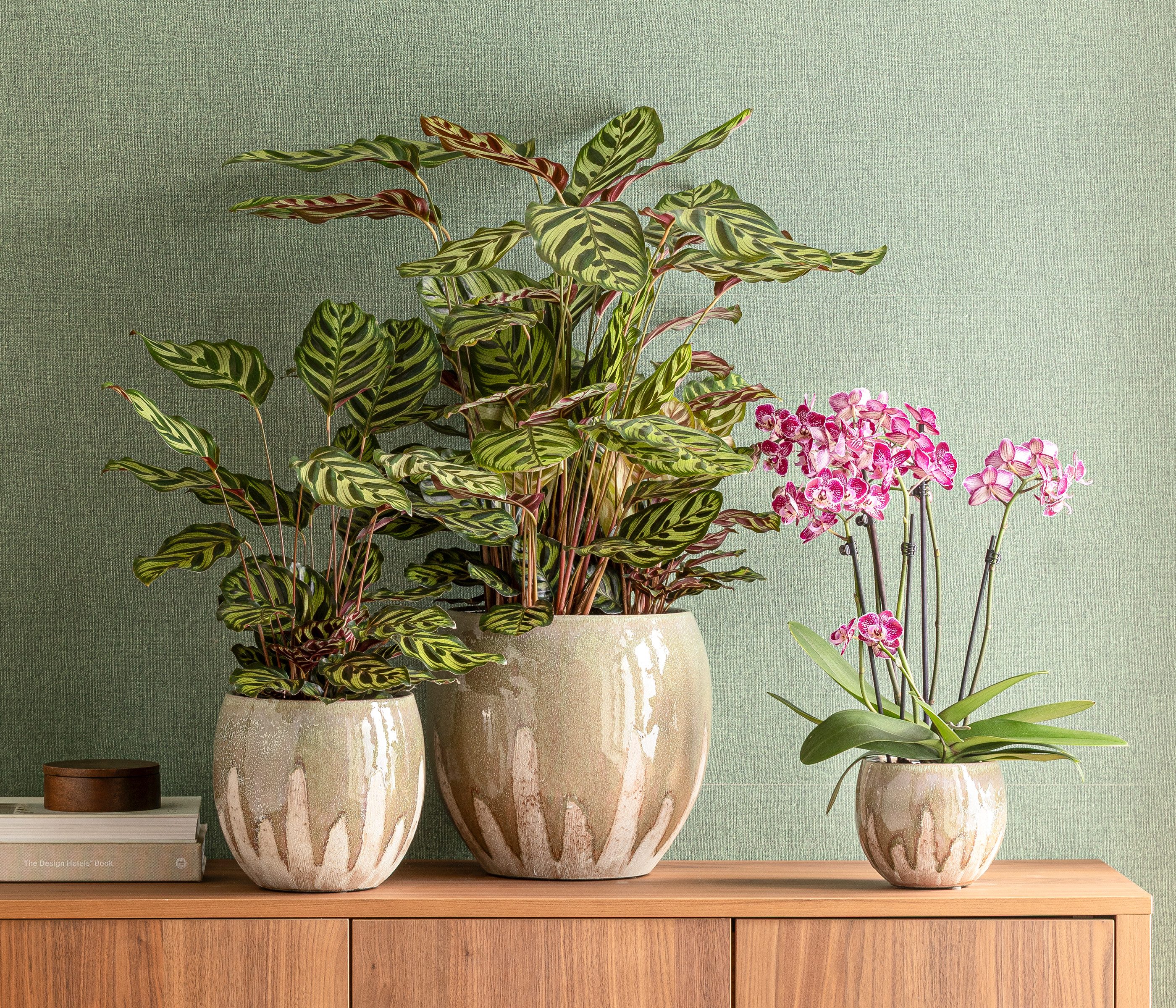 Dehner Übertopf Joulie Duo, bauchige Form, Keramik, grün / creme, handgefertigter Indoor Blumentopf
