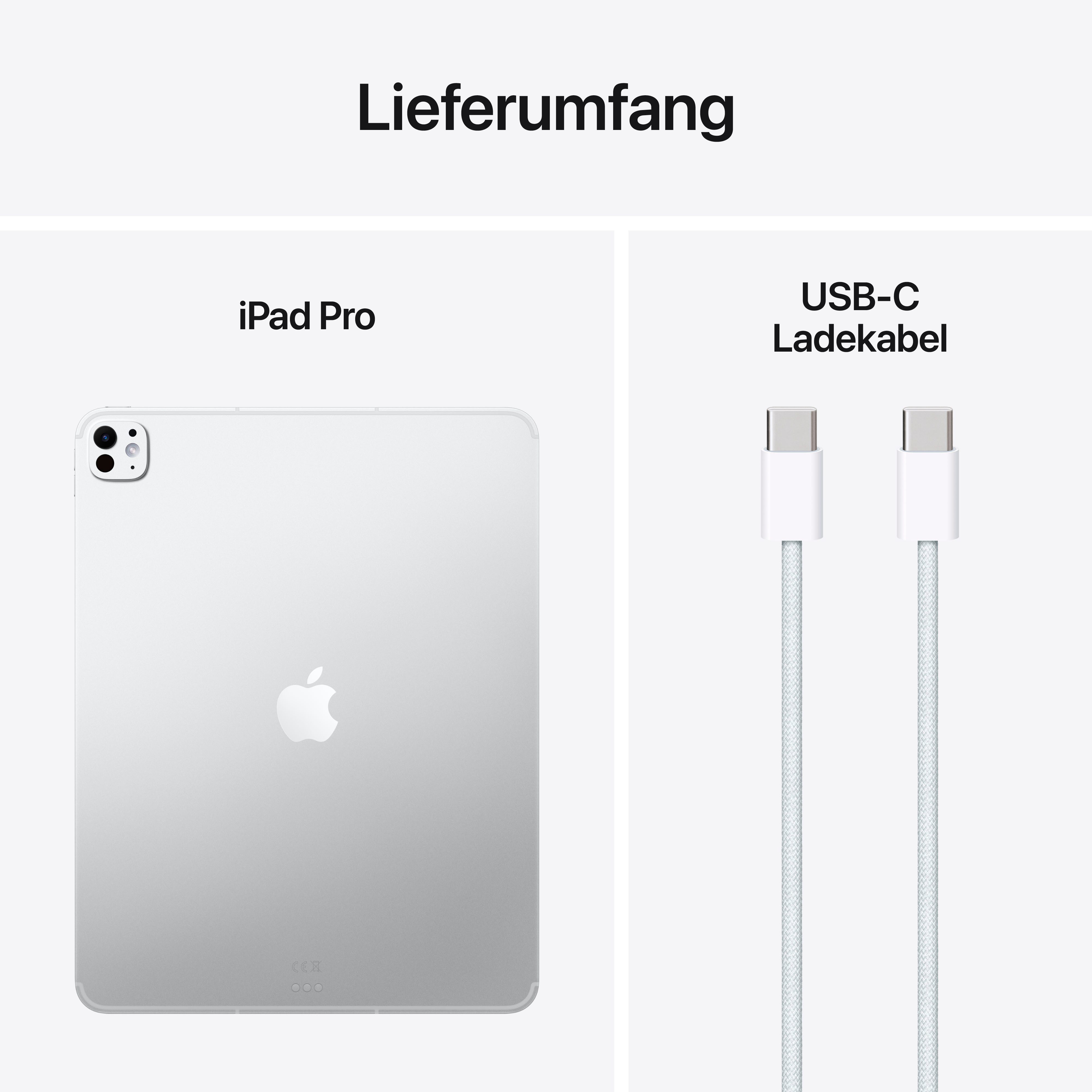 Apple 13-inch iPad Pro Tablet (13", iPadOS, 5G)