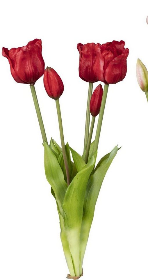Kunstblume Frühling, formano, Höhe 44 cm, Rot B:21cm H:44cm D:6cm Kunststoff