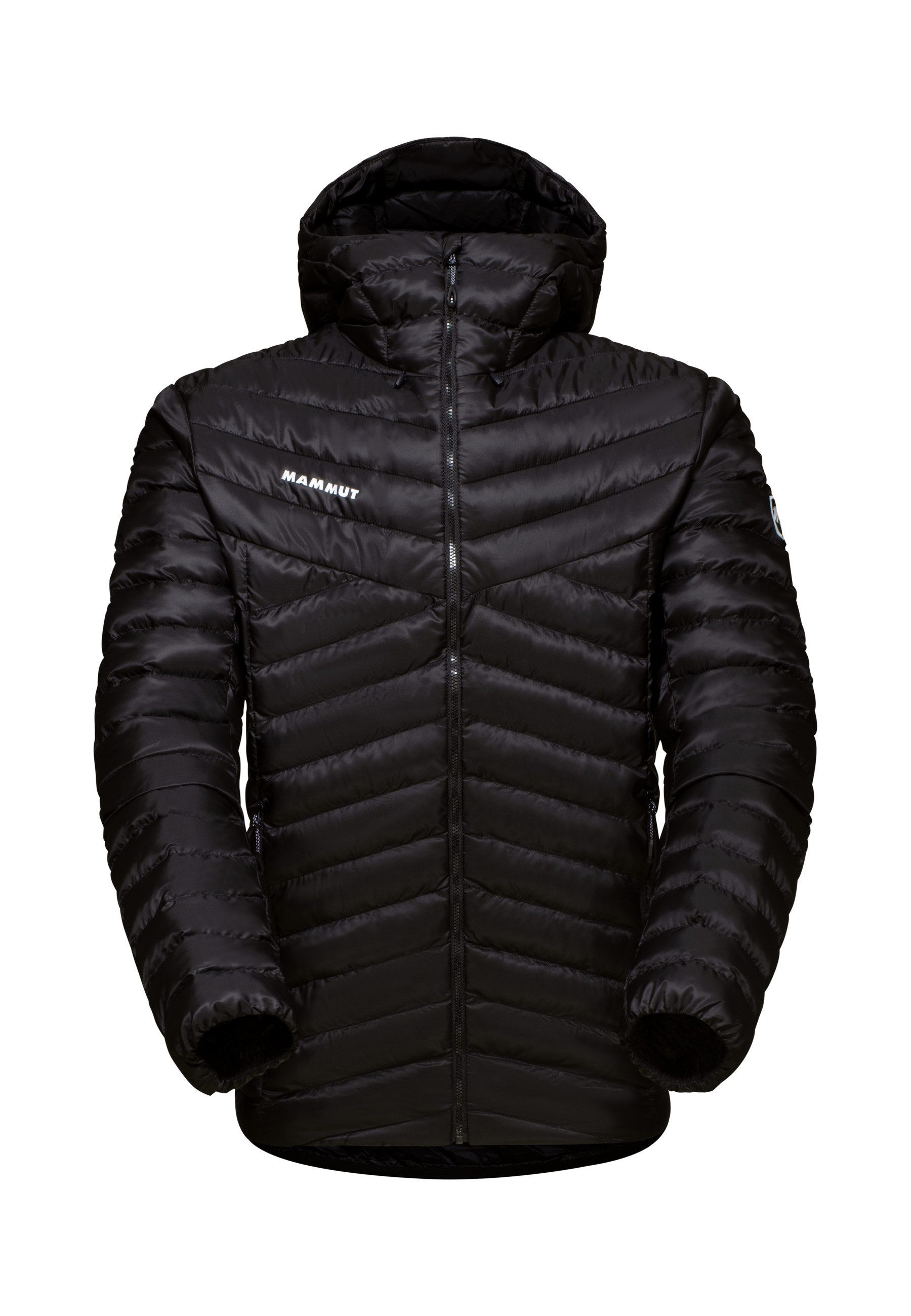 Mammut Outdoorjacke Albula IN Hooded Jacket Men