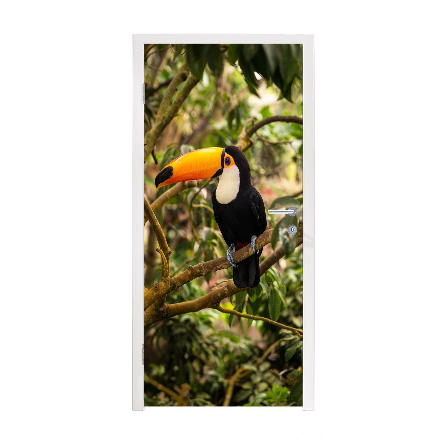 MuchoWow Türtapete Vogel Matt, Dschungel Tür, 75x205 Natur Türaufkleber, bedruckt, cm St), Tukan - Tropisch, - für - - (1 Fototapete