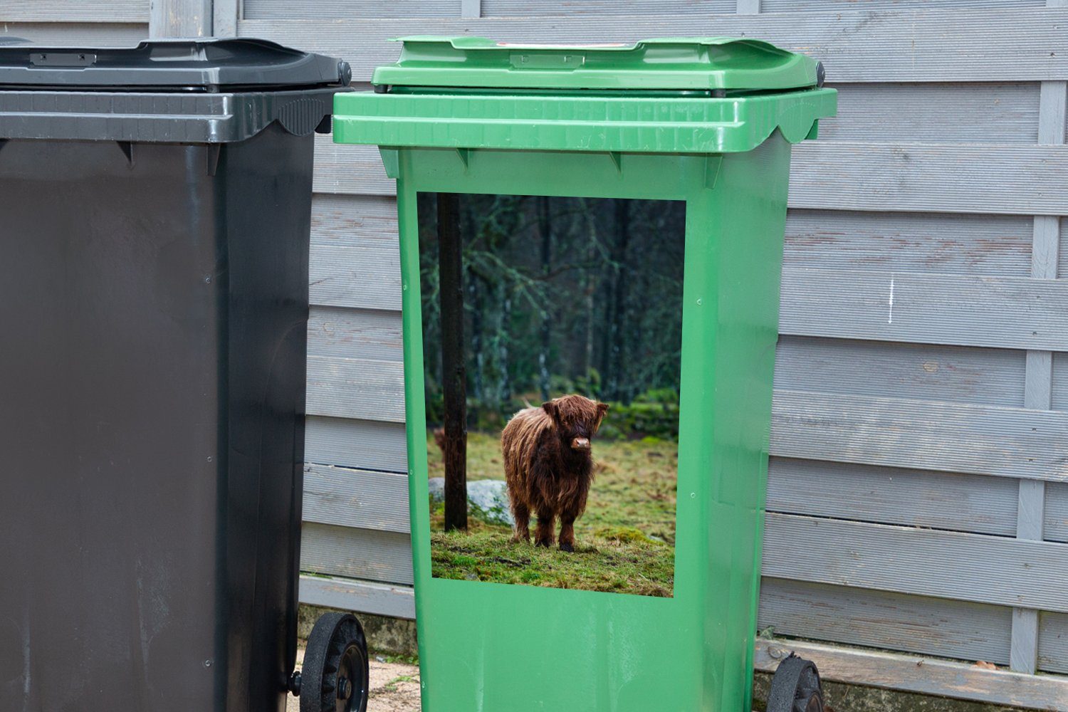 Schottischer St), Abfalbehälter Mülleimer-aufkleber, Hochländer Mülltonne, Wald - Moos Container, Sticker, (1 - MuchoWow Wandsticker