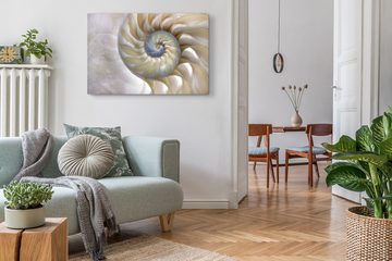 Sinus Art Leinwandbild 120x80cm Wandbild auf Leinwand Fotokunst Spirale Schneckenhaus Muschel, (1 St)