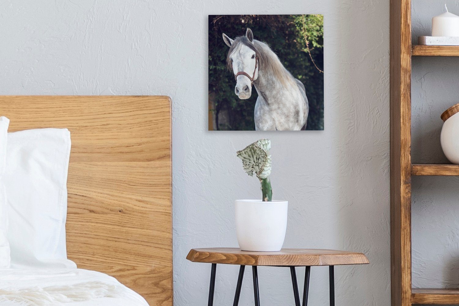 Leinwand Halfter - Bilder OneMillionCanvasses® Pferd Natur, Wohnzimmer für (1 Schlafzimmer Leinwandbild St), -