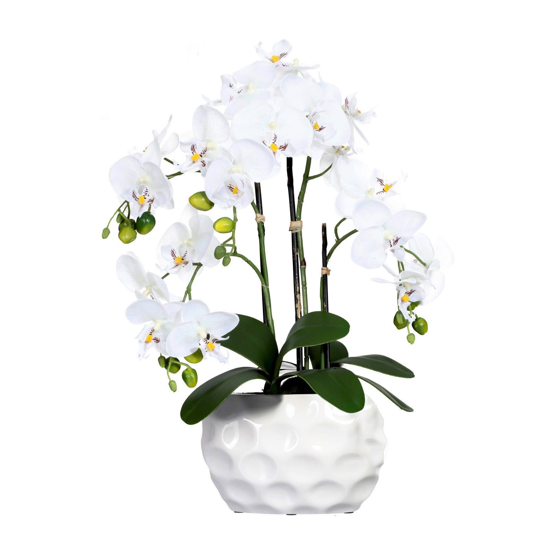 Kunstblume Kunstpflanze Orchidee, inklusive Übertopf aus Keramik, silberfarben, Creativ green