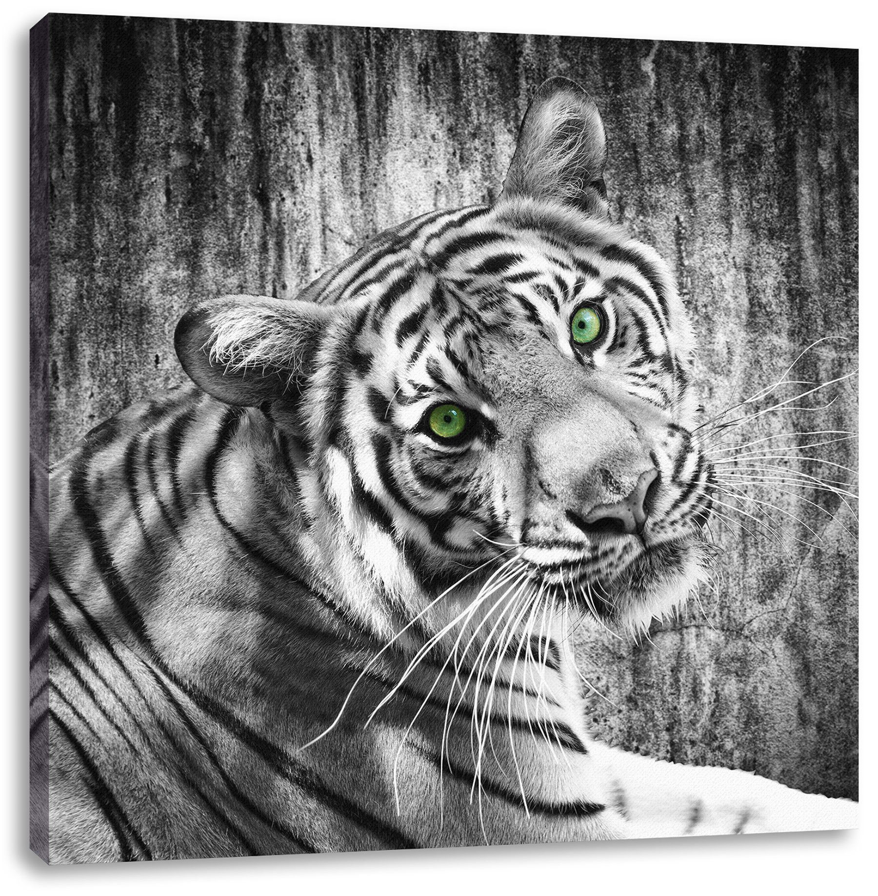 inkl. (1 bespannt, Pixxprint Tiger, neugieriger St), Zackenaufhänger Tiger schöner Leinwandbild Leinwandbild fertig schöner neugieriger