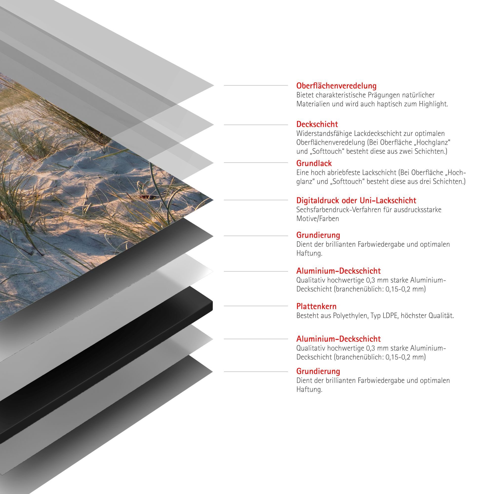 Schulte Duschrückwand 90 x 210 cm Alu-Verbund, (2-tlg), Sonnenuntergang Düne DecoDesign – Bild 3 von 5