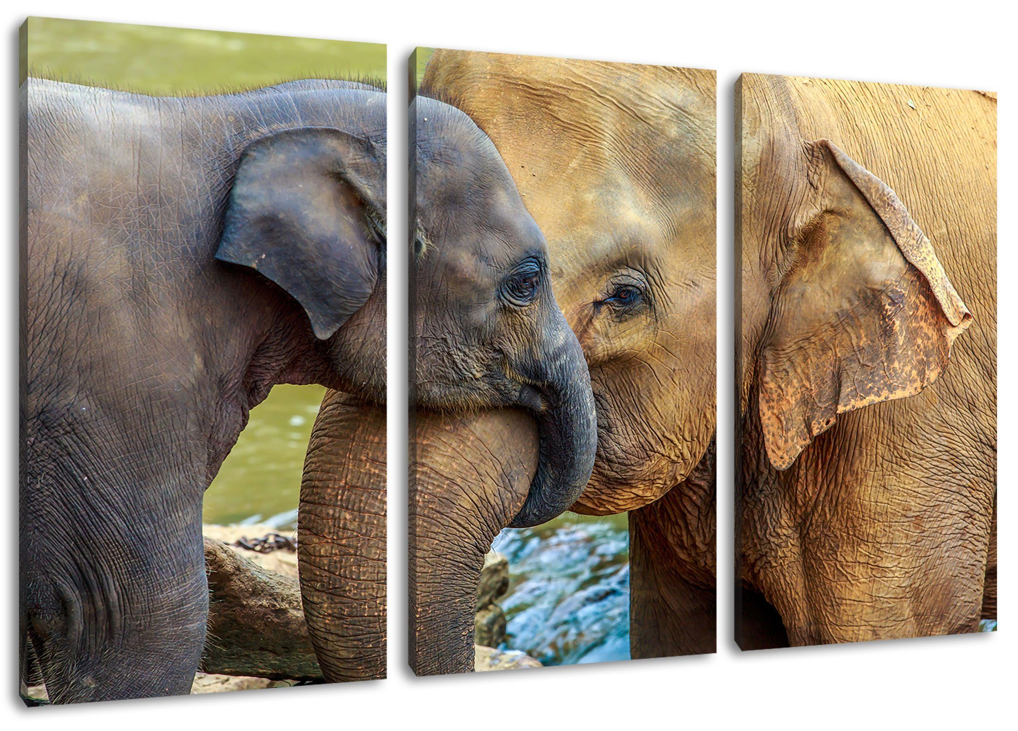 Pixxprint Leinwandbild Elefantenmutter mit Kalb, Elefantenmutter mit Kalb 3Teiler (120x80cm) (1 St), Leinwandbild fertig bespannt, inkl. Zackenaufhänger