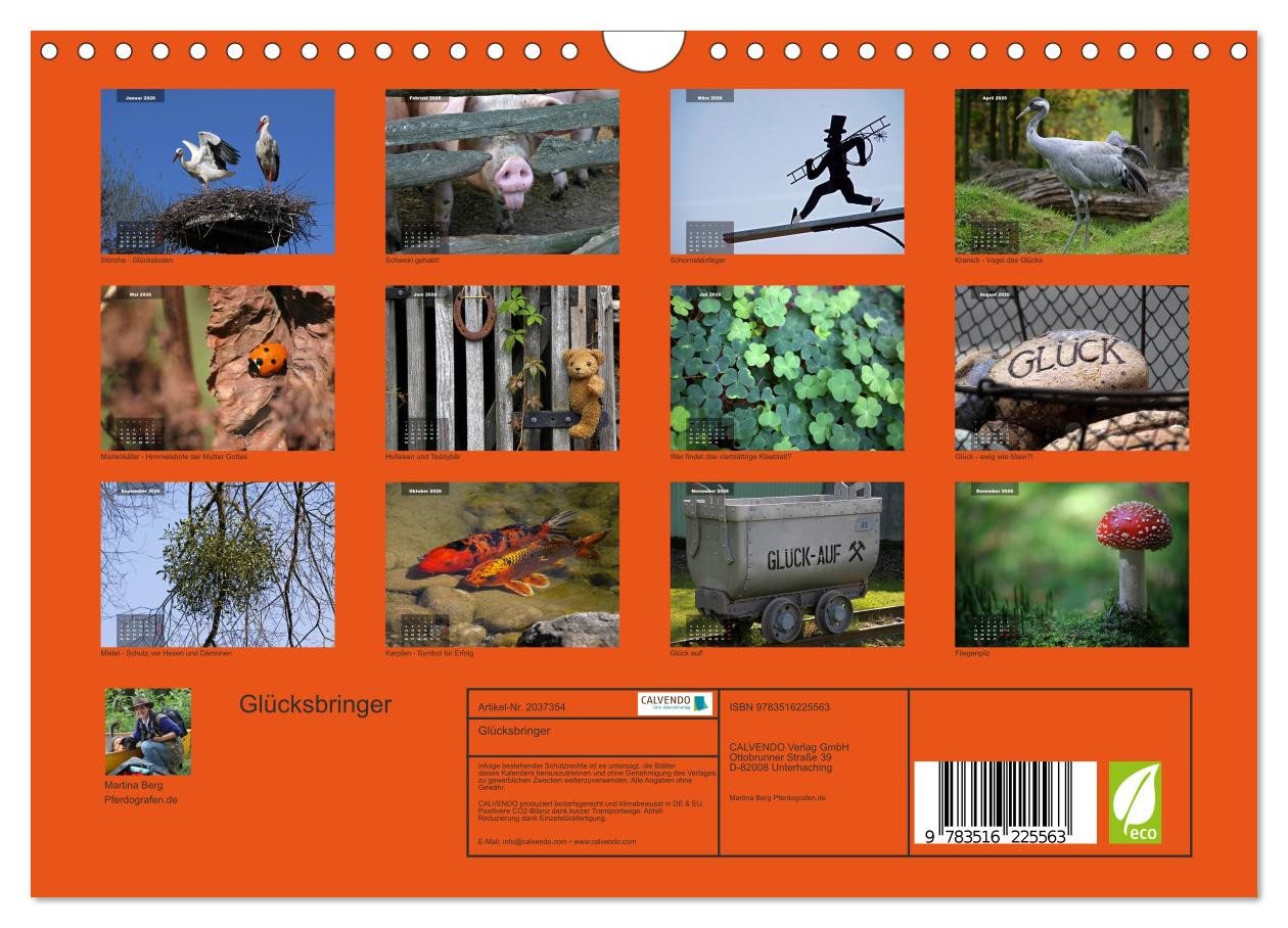 Thumbnail - CALVENDO Wandkalender Glücksbringer (Wandkalender 2026 DIN A4 quer), CALVENDO Monatskalender