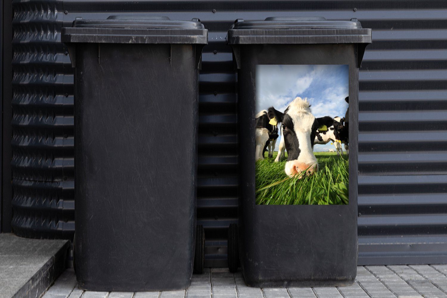 Sticker, Mülltonne, St), Kuh - Luft - MuchoWow - Container, Mülleimer-aufkleber, Abfalbehälter (1 Wandsticker Gras Nase