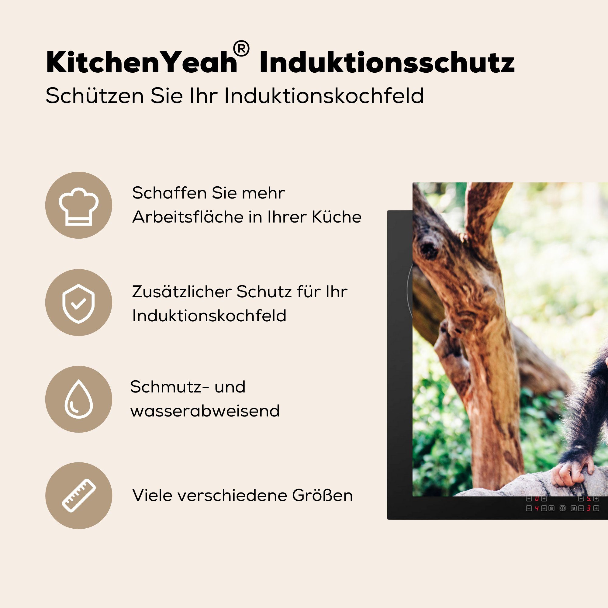 Schimpansenaffe Herdblende-/Abdeckplatte (1 küche, für Nahaufnahme MuchoWow Induktionskochfeld sitzend Vinyl, 81x52 Schutz tlg), die im cm, Wald, Ceranfeldabdeckung
