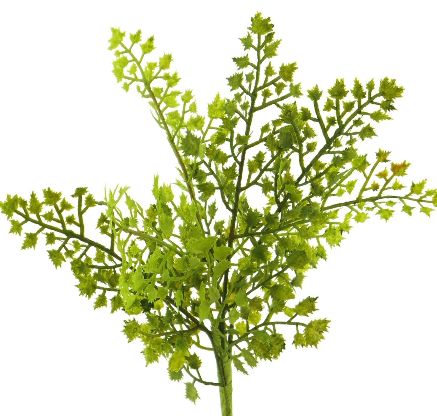 Künstliche Zimmerpflanze Deko Pflanze Frauenhaarfarn SHUMING, Steckstab, grün, 30 cm Farn (Frauenhaarfarn), artplants, Höhe 30.0 cm
