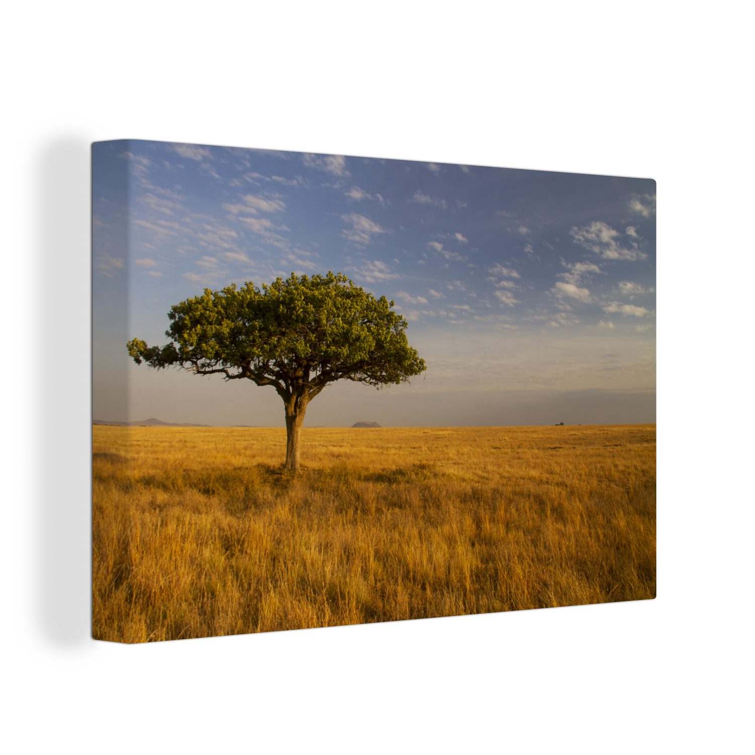 Leinwandbild Wanddeko, cm Savanne Wandbild Die in St), Aufhängefertig, (1 Leinwandbilder, Serengeti-Nationalparks des 30x20 OneMillionCanvasses® Tansania,