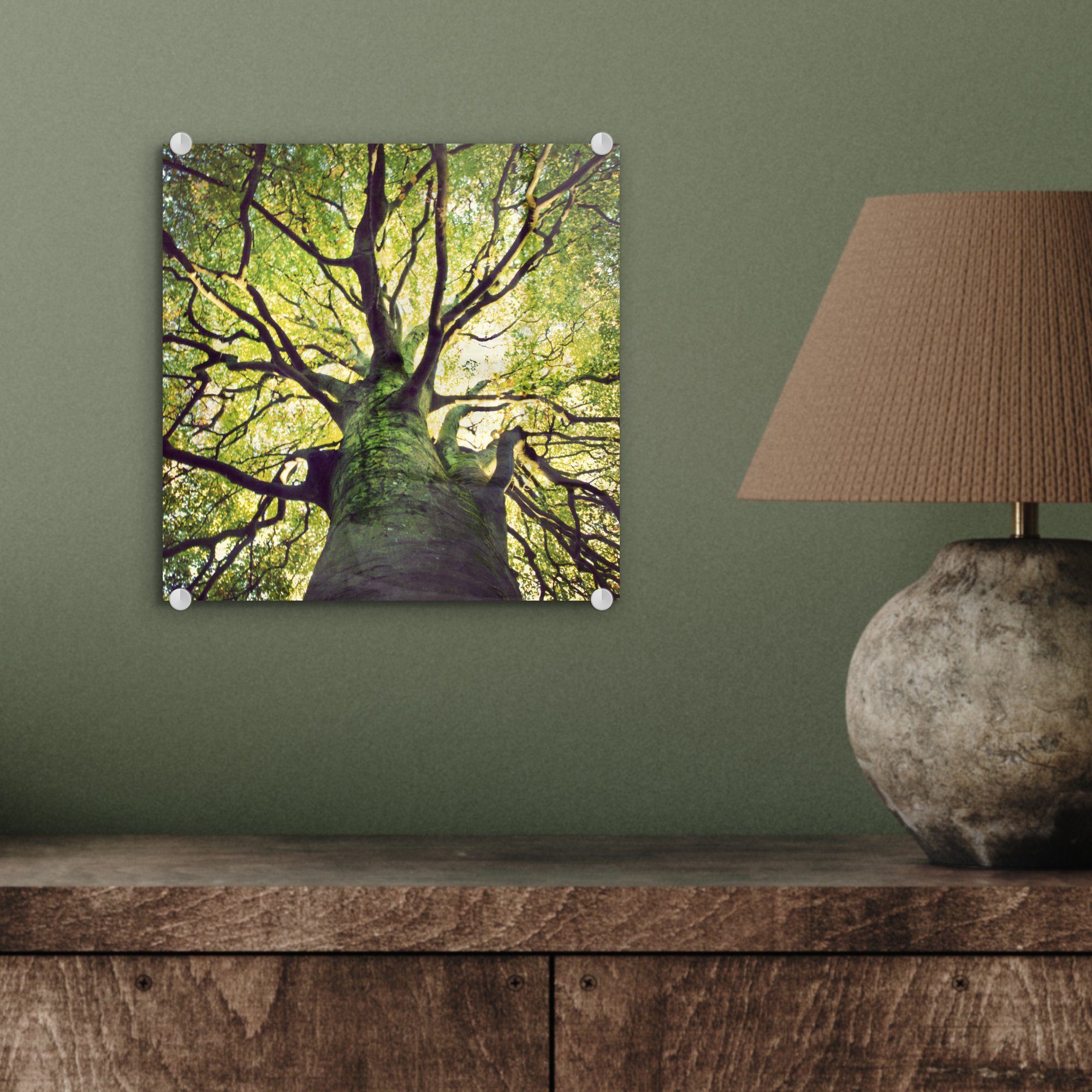 Beruhigende Bilder Wanddekoration St), Zweige (1 Acrylglasbild auf Foto - - MuchoWow eines - Baumes, Glas Wandbild auf Glas grünen Glasbilder
