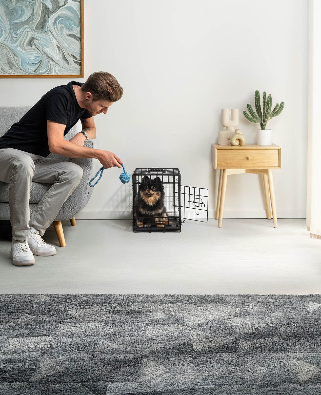 lionto Tiertransportbox faltbar mit Bodenwanne, schwarz, hygienisch mit Trennwand & Sicherheitsverriegelung