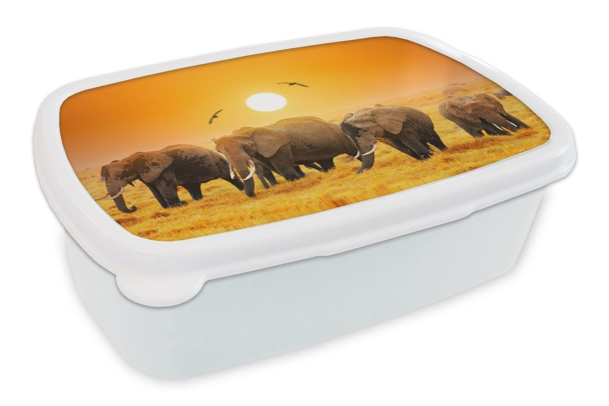 MuchoWow Lunchbox Elefant - Vogel - Orange, Kunststoff, (2-tlg), Brotbox für Kinder und Erwachsene, Brotdose, für Jungs und Mädchen weiß