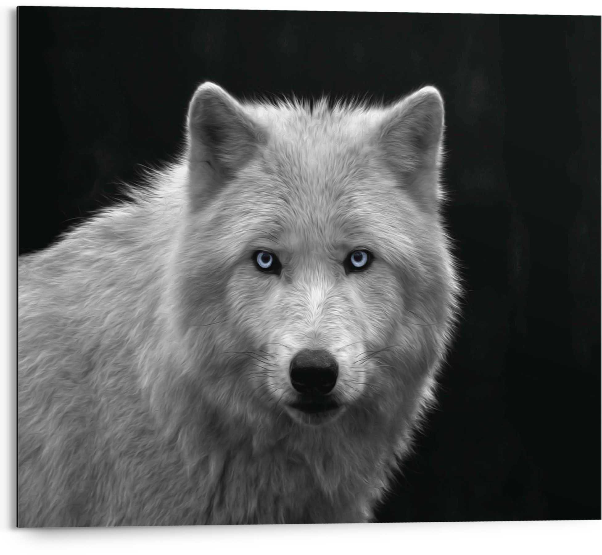 Reinders! Wandbild Weißer Wolf