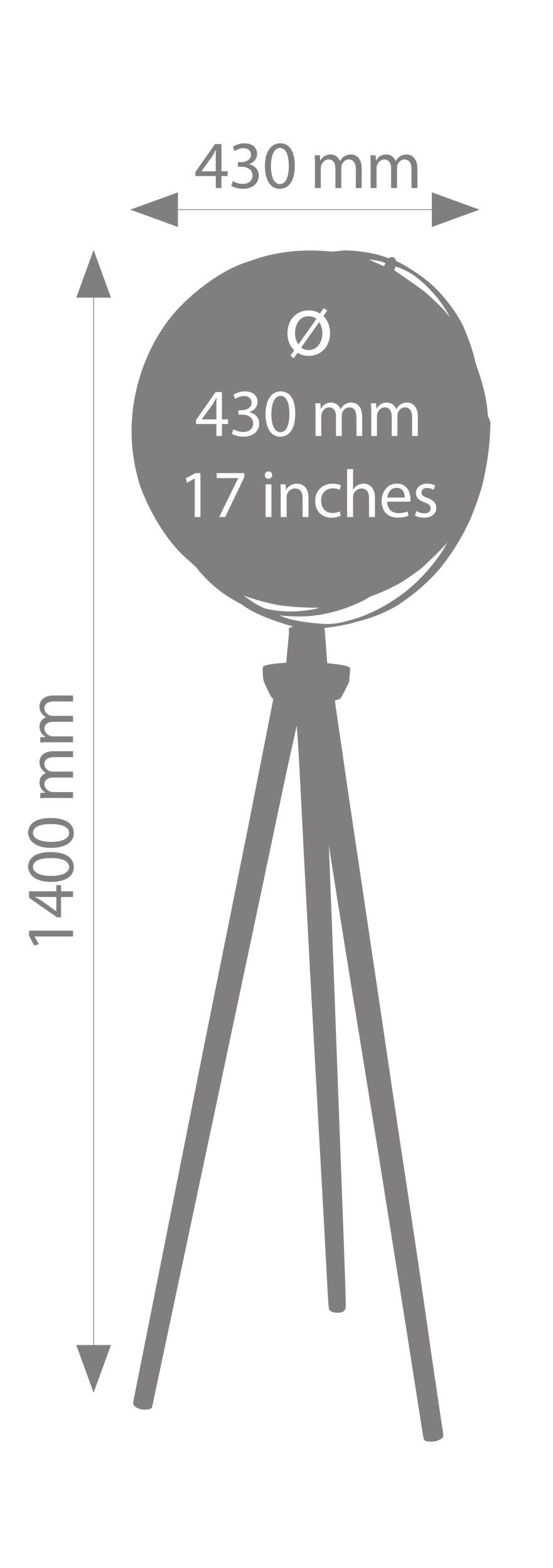 TROIKA Globus SPUTNIK