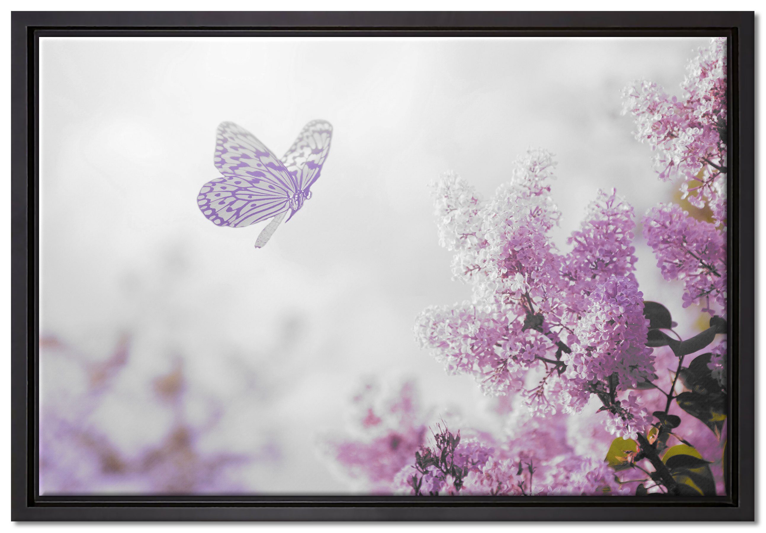 Pixxprint Leinwandbild Schmetterling Kirschblüten, Wanddekoration (1 St), Leinwandbild fertig bespannt, in einem Schattenfugen-Bilderrahmen gefasst, inkl. Zackenaufhänger