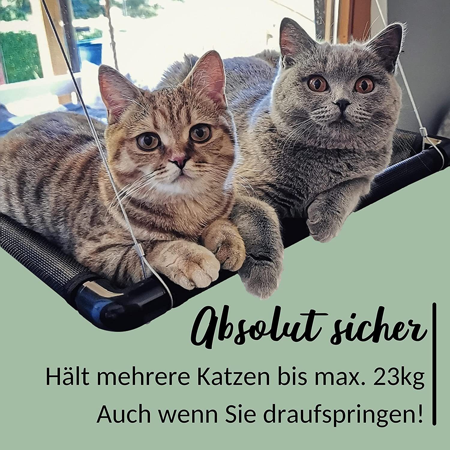 riijk Katzen-Hängematte Mausblick Fensterliege, Kunstoffgewebe, Katzenhänge günstig online kaufen