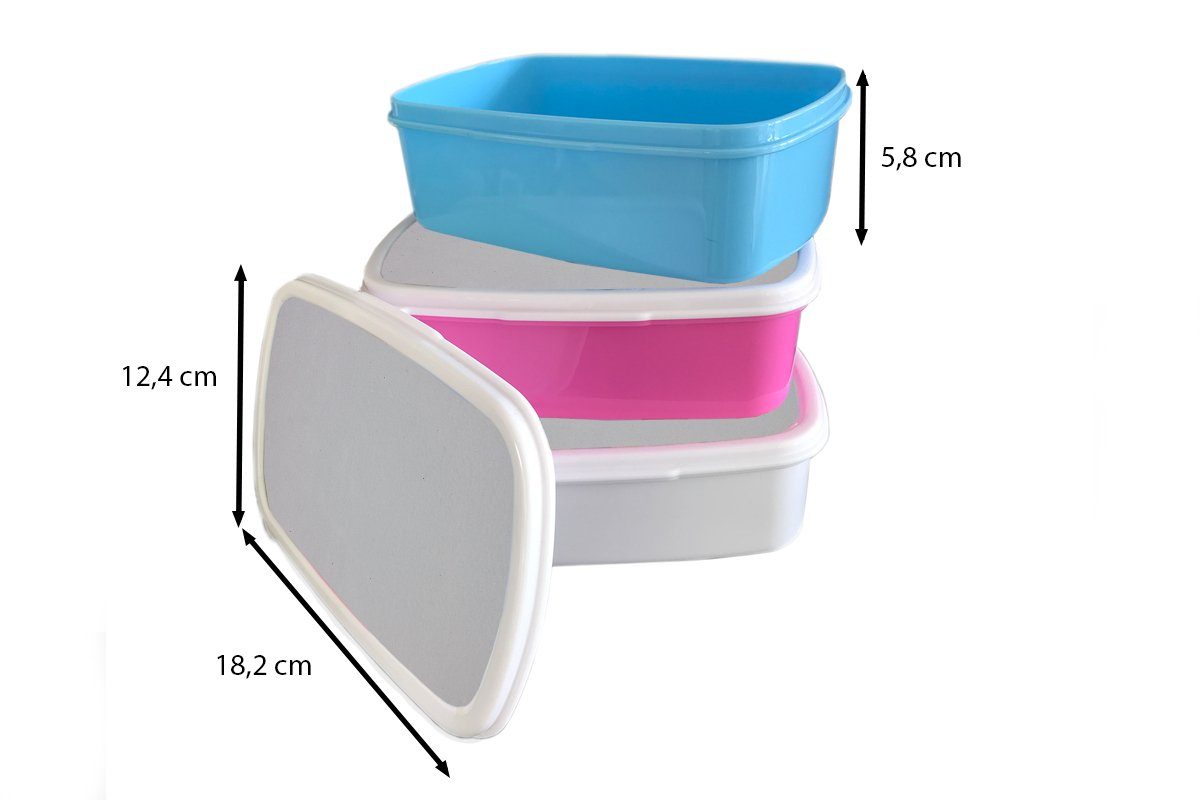 Brotbox Grau, (2-tlg), Brotdose Erwachsene, Snackbox, Kunststoff Lunchbox für Mädchen, Kinder, Kunststoff, Metalldruck rosa MuchoWow -