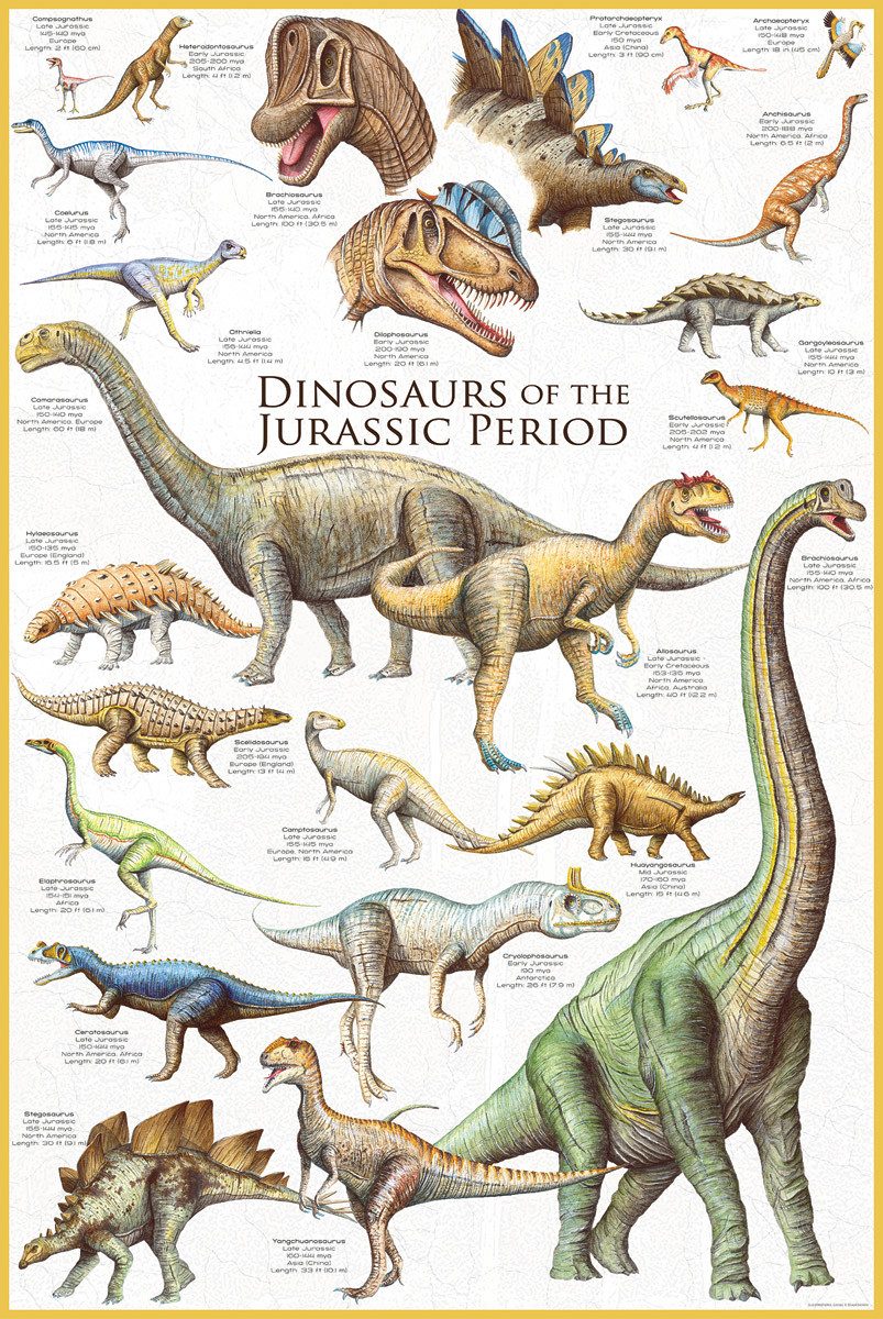 Puzzle 1000 Teile Puzzle - Puzzle - Dinosaurier der Jura Zeit, Puzzleteile