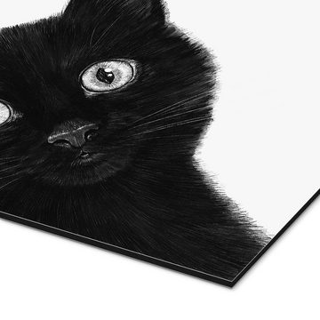 Posterlounge Alu-Dibond-Druck Valeriya Korenkova, Schwarze Katze, Jungenzimmer Illustration