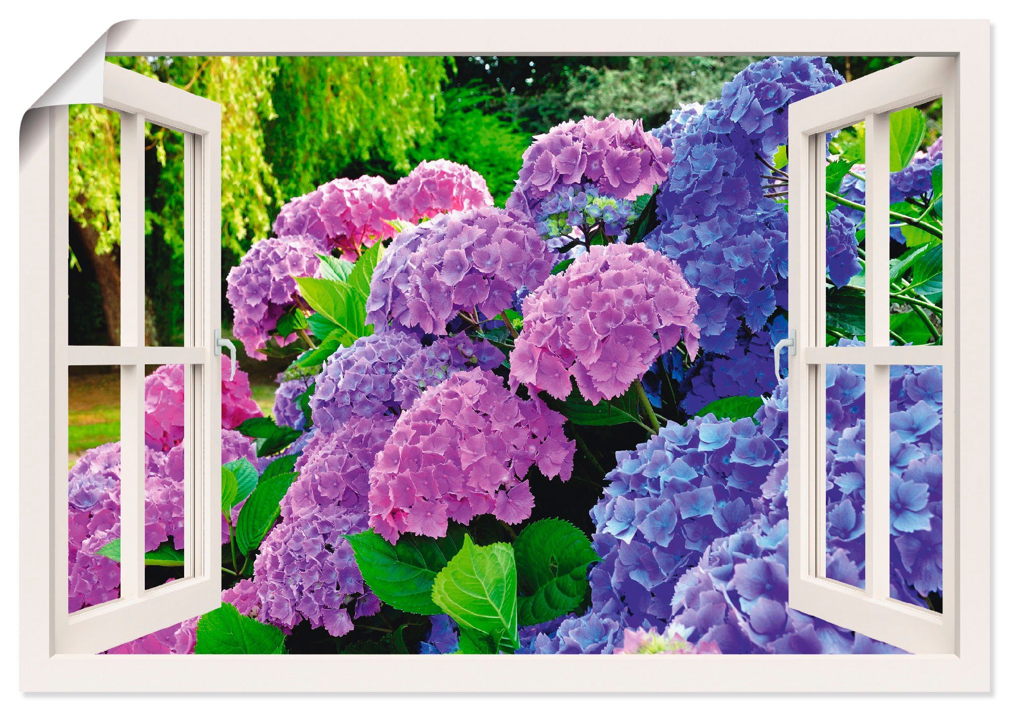 Artland Wandbild Fensterblick Leinwandbild, Hortensien oder Garten, in Alubild, (1 Poster Blumen Größen als St), im Wandaufkleber versch