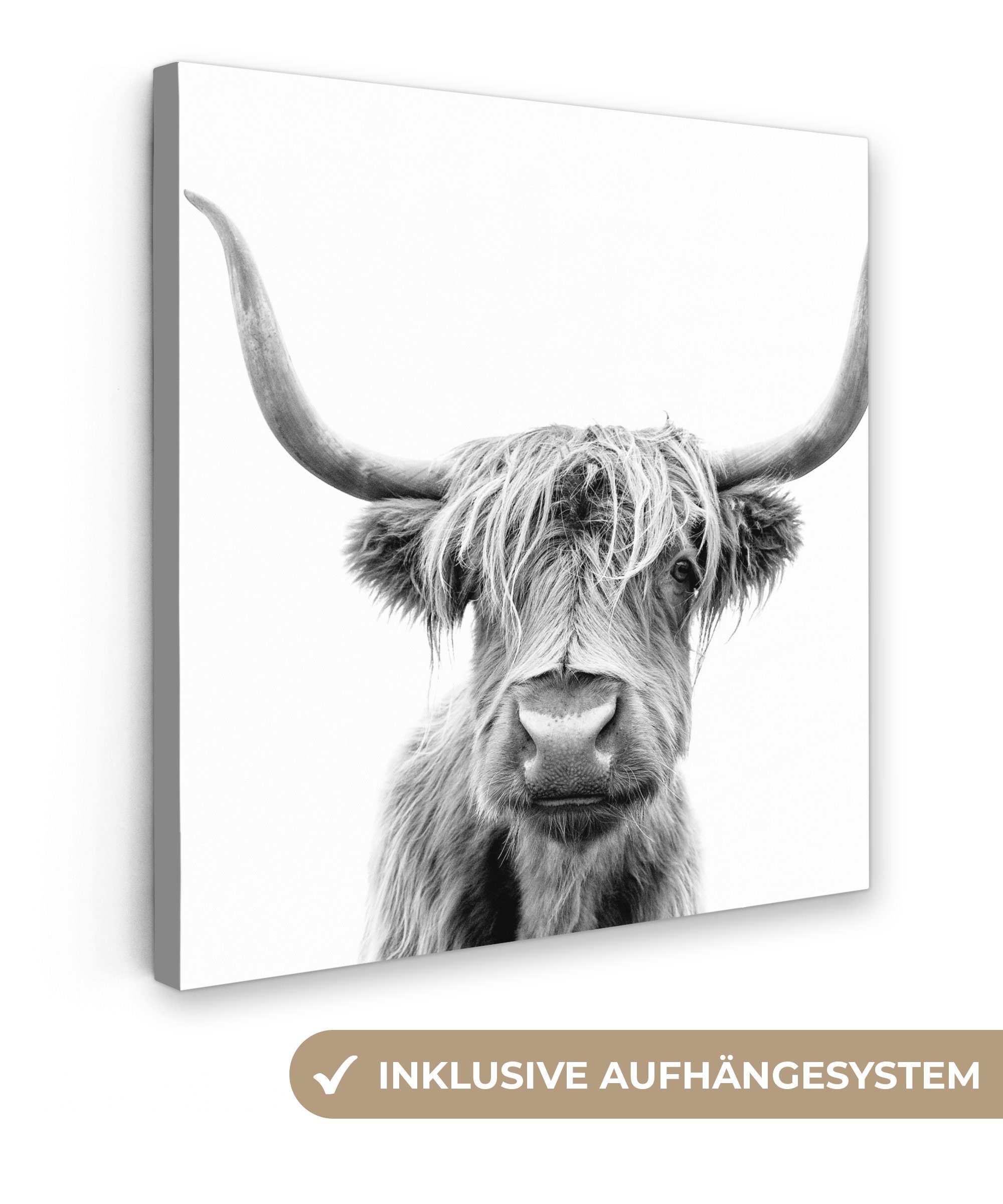OneMillionCanvasses® Leinwandbild Schottischer Highlander - Schwarz - Weiß - Tiere, (1 St), Leinwand Bilder für Wohnzimmer Schlafzimmer, 20x20 cm
