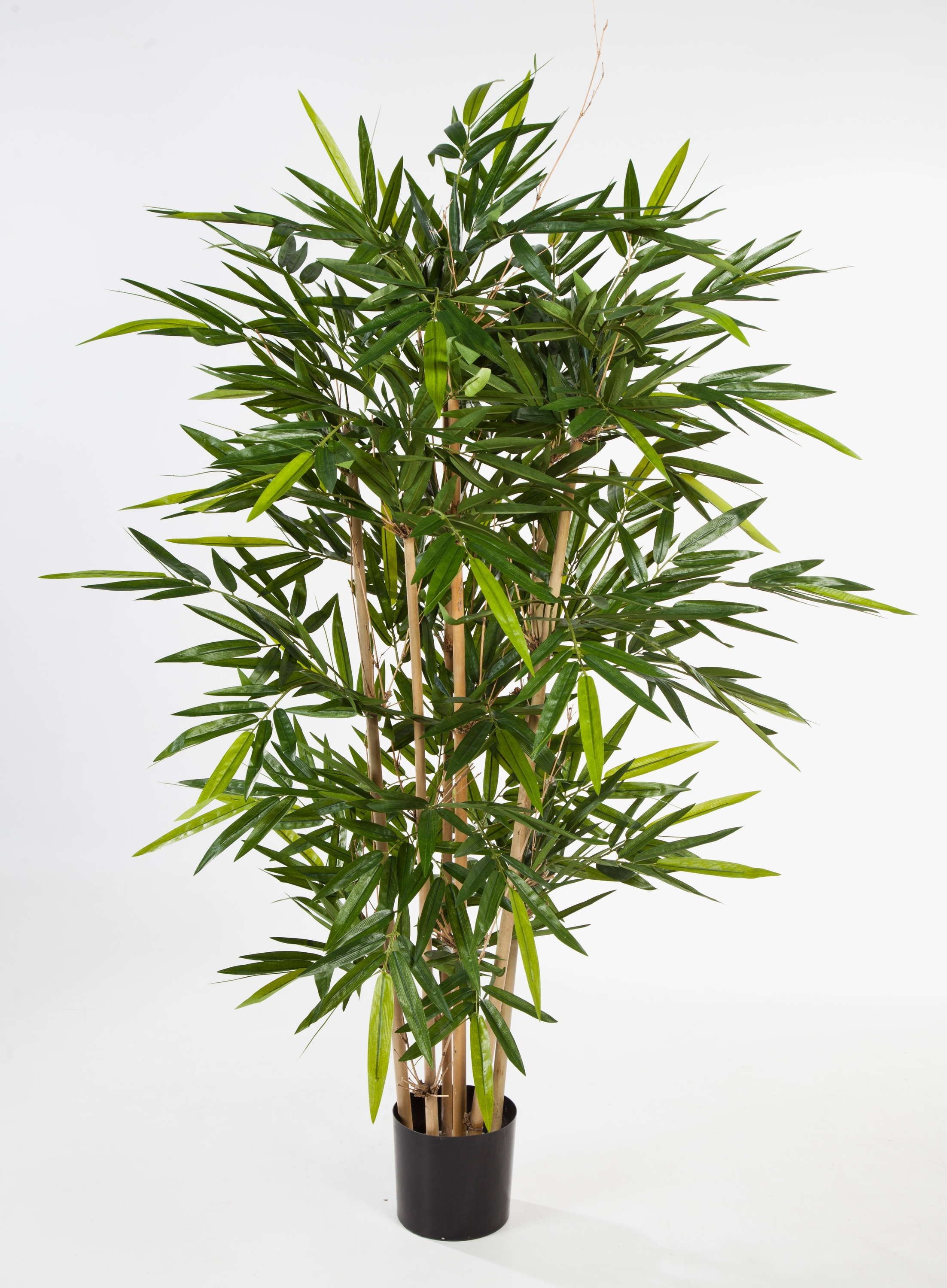Kunstbambus Künstlicher Bambus Tarik, 512 Blätter, 120cm - naturgetreu Bambus, artplants, Höhe 120.0 cm