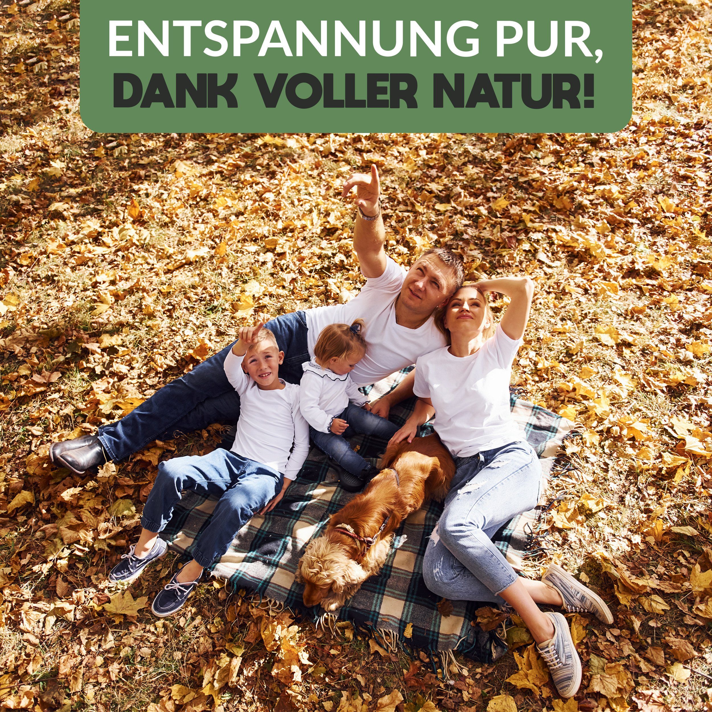 Happyyami 3x Vogelhaus Aus Holz - Nistkasten Für Sittiche, Finken & Papageien