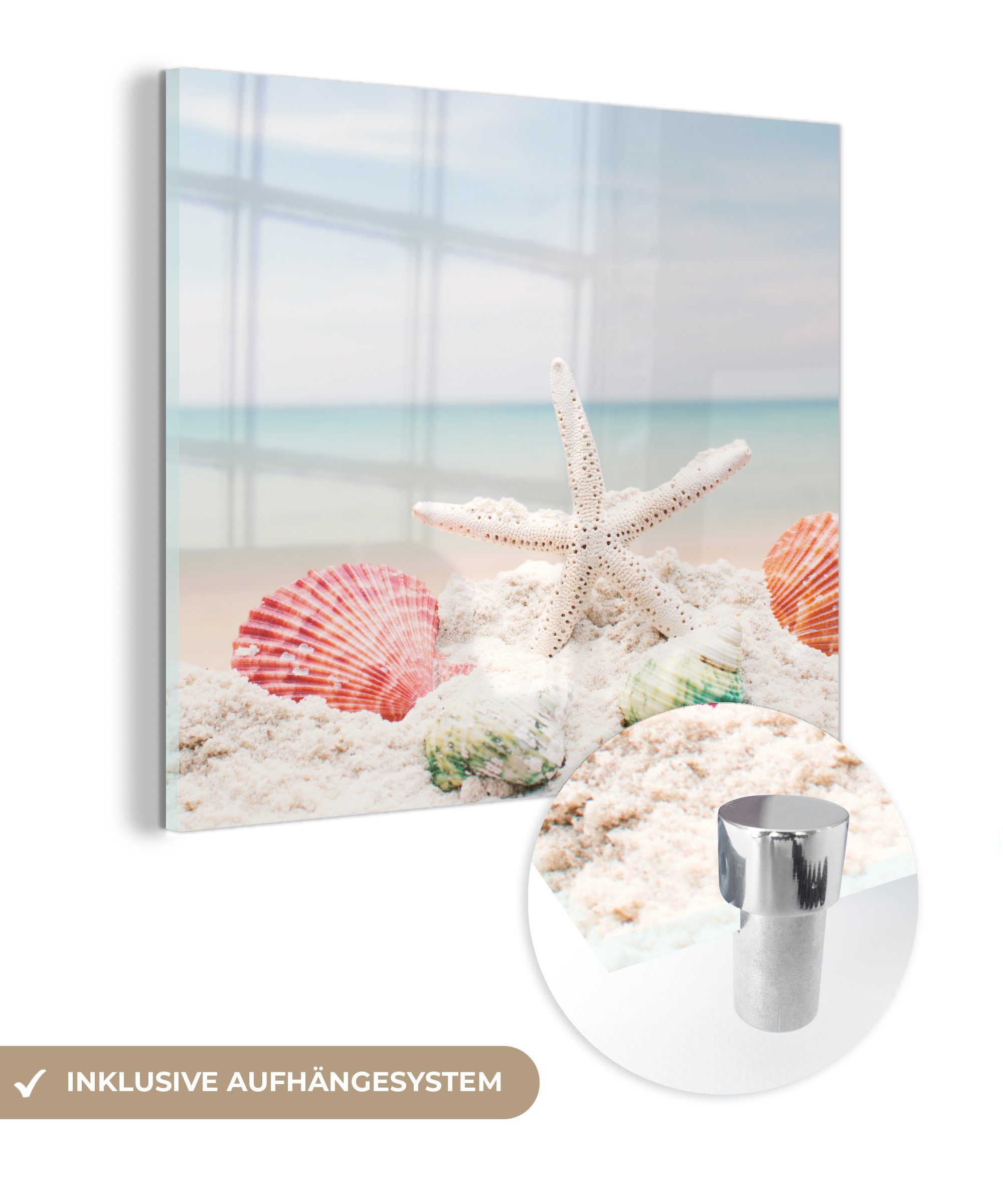 MuchoWow Acrylglasbild Seesterne - Muscheln - Meer, (1 St), Glasbilder - Bilder auf Glas Wandbild - Foto auf Glas - Wanddekoration