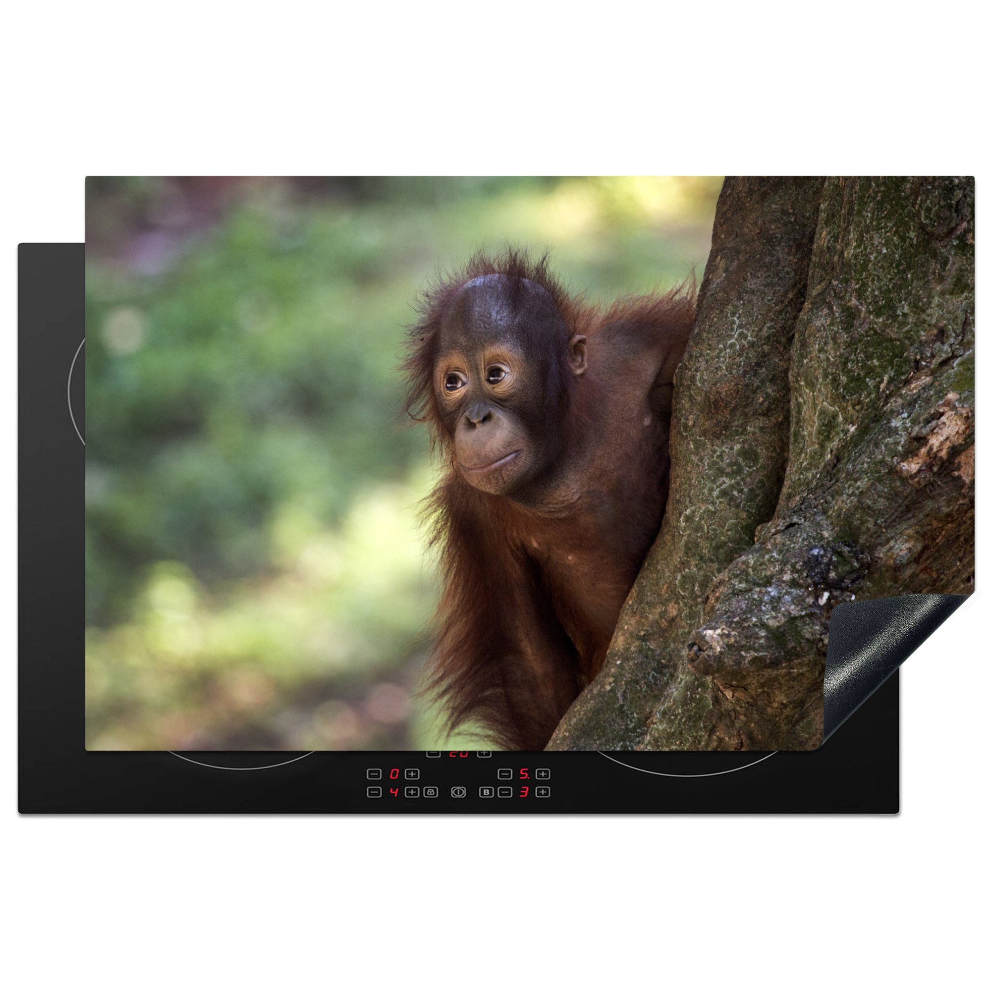 MuchoWow Herdblende-/Abdeckplatte Kleiner Orang-Utan hinter einem Baum, Vinyl, (1 tlg), 81x52 cm, Induktionskochfeld Schutz für die küche, Ceranfeldabdeckung