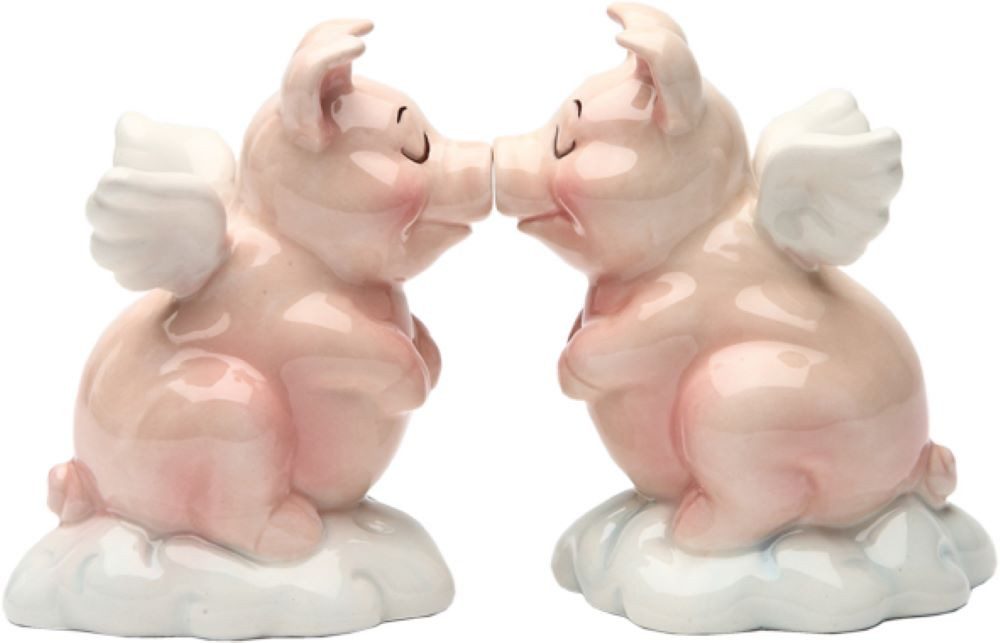 MystiCalls Salz- / Перечницы Salz und Перечницы Schweine Magnet küssend rosa Hog Heaven, (2-tlg), Mit Magneten verbunden